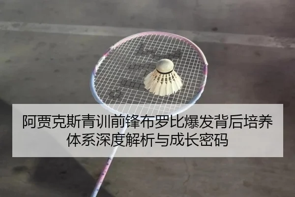 阿贾克斯青训前锋布罗比爆发背后培养体系深度解析与成长密码 - leyu